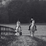 BW Riding BW Riding